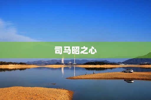 司马昭之心,路人皆知成语故事 司马昭之心,路人皆知成语故事