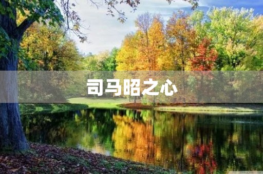 司马昭之心，路人皆知是什么意思