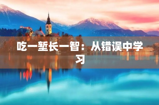 吃一堑长一智:从错误中学习 吃一堑长一智:从错误中学习