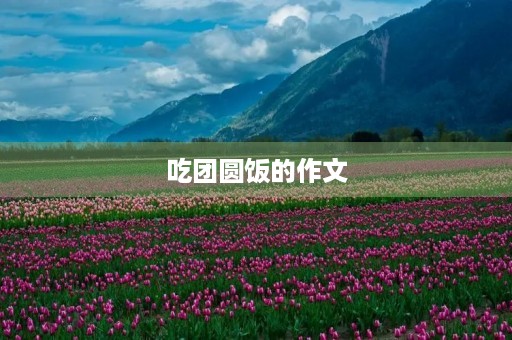 吃团圆饭的作文