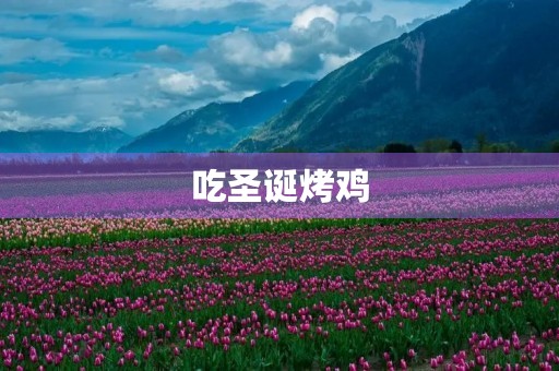 吃圣诞烤鸡 吃圣诞烤鸡