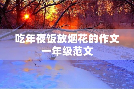 吃年夜饭放烟花的作文一年级范文