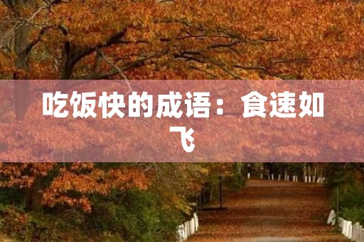 吃饭快的成语:食速如飞 吃饭快的成语:食速如飞