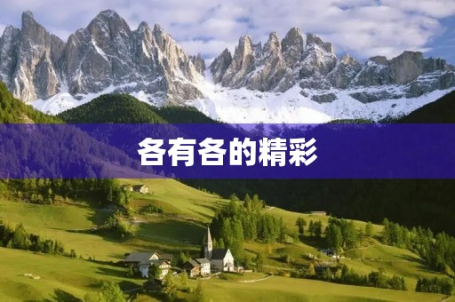 各有各的精彩