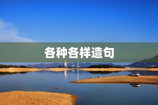 各种各样造句(各种各样造句) 各种各样造句(各种各样造句)