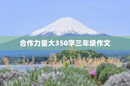 合作力量大350字三年级作文