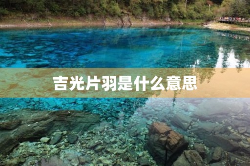 吉光片羽是什么意思 吉光片羽是什么意思