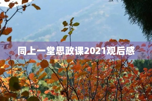 同上一堂思政课2021观后感