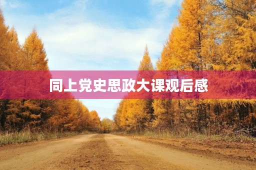 同上党史思政大课观后感