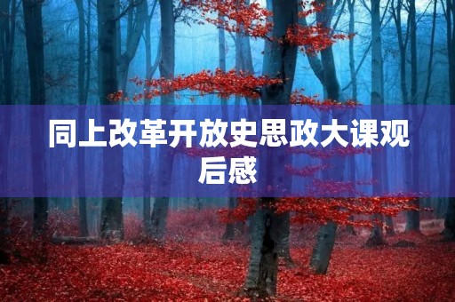 同上改革开放史思政大课观后感