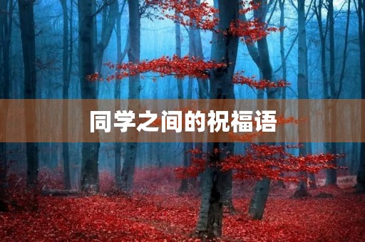 同学之间的祝福语,祝福同学们的话简单大气