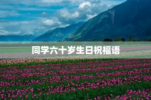 同学六十岁生日祝福语,给同学的祝福语