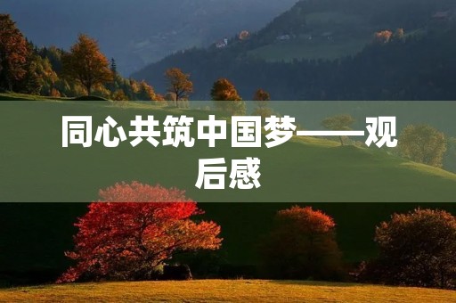 同心共筑中国梦——观后感