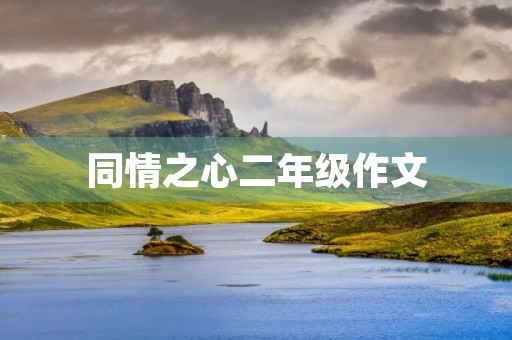 同情之心二年级作文