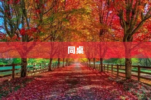 同桌