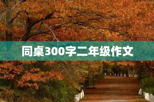 同桌300字二年级作文 同桌300字二年级作文