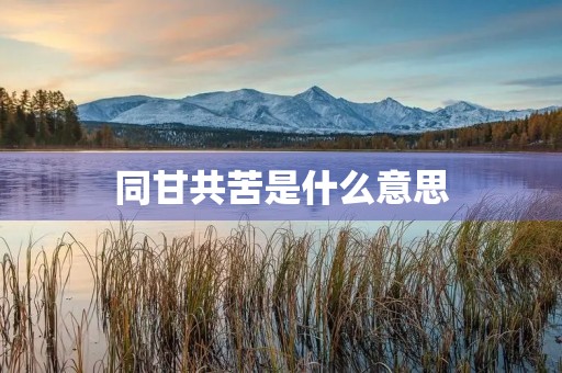 同甘共苦是什么意思