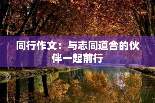 同行作文：与志同道合的伙伴一起前行