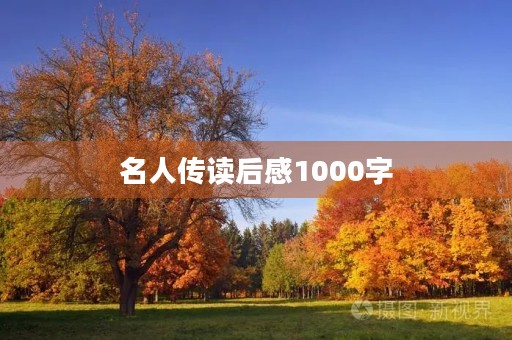 名人传读后感1000字