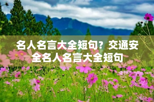 名人名言大全短句？交通安全名人名言大全短句