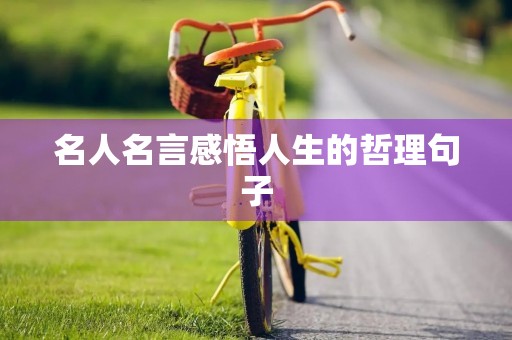名人名言感悟人生的哲理句子,名人名言感悟人生的哲理句子+作者 名人名言感悟人生的哲理句子,名人名言感悟人生的哲理句子+作者