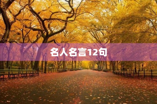 名人名言12句(名人名言110句)