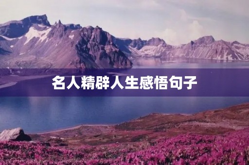 名人精辟人生感悟句子(名人精辟人生感悟句子简短) 名人精辟人生感悟句子(名人精辟人生感悟句子简短)