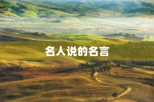 名人说的名言(中国名人说的名言) 名人说的名言(中国名人说的名言)