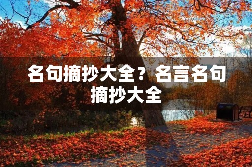 名句摘抄大全?名言名句摘抄大全 名句摘抄大全?名言名句摘抄大全