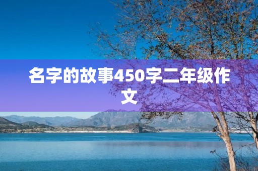 名字的故事450字二年级作文
