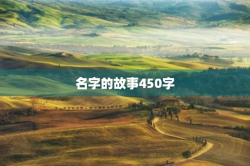 名字的故事450字
