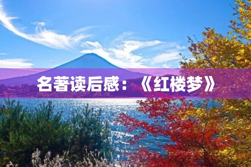 名著读后感：《红楼梦》