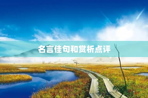 名言佳句和赏析点评(名句摘抄及点评)