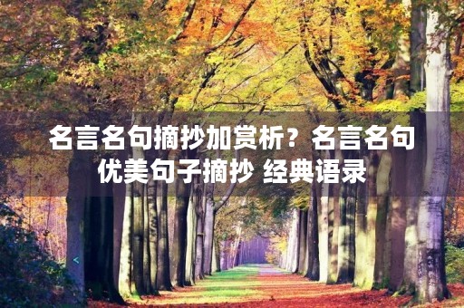 名言名句摘抄加赏析？名言名句优美句子摘抄 经典语录