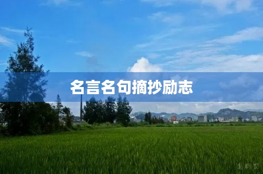 名言名句摘抄励志(名言名句摘抄励志200字)