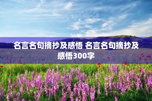 名言名句摘抄及感悟 名言名句摘抄及感悟300字