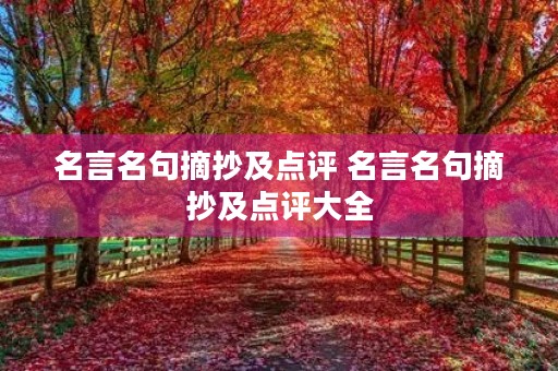 名言名句摘抄及点评 名言名句摘抄及点评大全