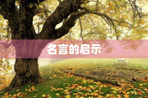 名言的启示