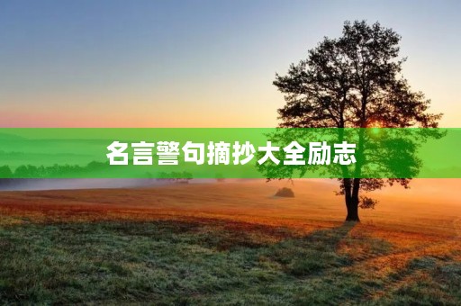名言警句摘抄大全励志(名言警句摘抄大全励志短句)