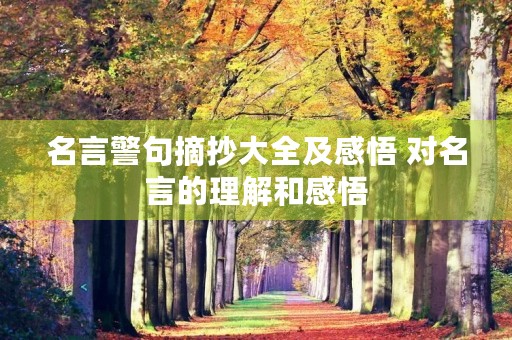 名言警句摘抄大全及感悟 对名言的理解和感悟 名言警句摘抄大全及感悟 对名言的理解和感悟