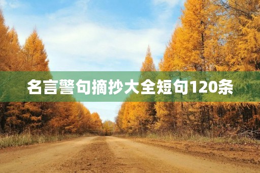 名言警句摘抄大全短句120条,名言警句摘抄大全短句120条图片 名言警句摘抄大全短句120条,名言警句摘抄大全短句120条图片
