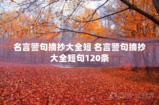 名言警句摘抄大全短 名言警句摘抄大全短句120条 名言警句摘抄大全短 名言警句摘抄大全短句120条
