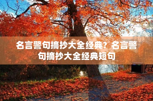 名言警句摘抄大全经典?名言警句摘抄大全经典短句 名言警句摘抄大全经典?名言警句摘抄大全经典短句