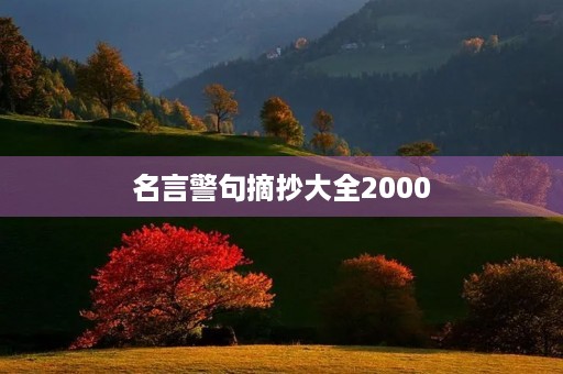 名言警句摘抄大全2000(名言警句摘抄大全2000字)