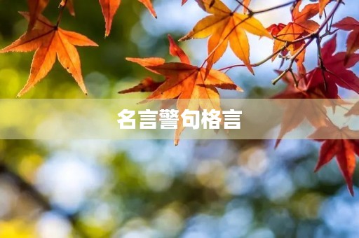名言警句格言(纪律的名言警句格言) 名言警句格言(纪律的名言警句格言)