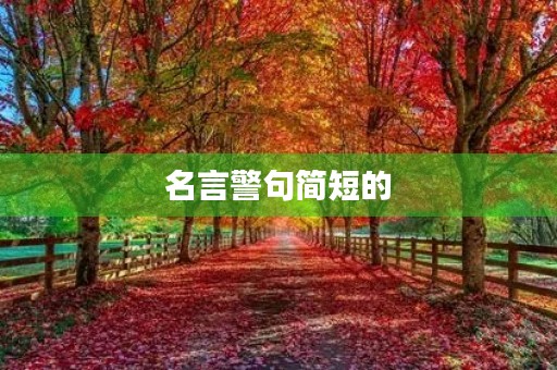 名言警句简短的(名言警句简短的有作者名)