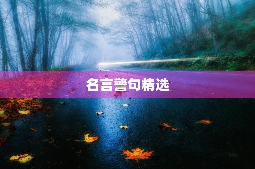 名言警句精选(廉洁家风名言警句精选)