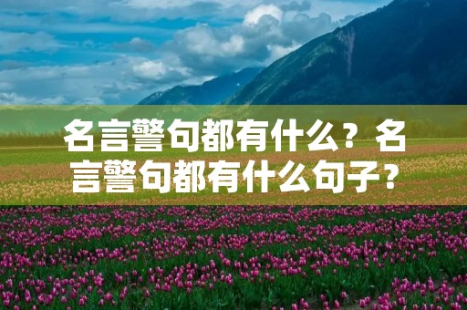 名言警句都有什么?名言警句都有什么句子? 名言警句都有什么?名言警句都有什么句子?