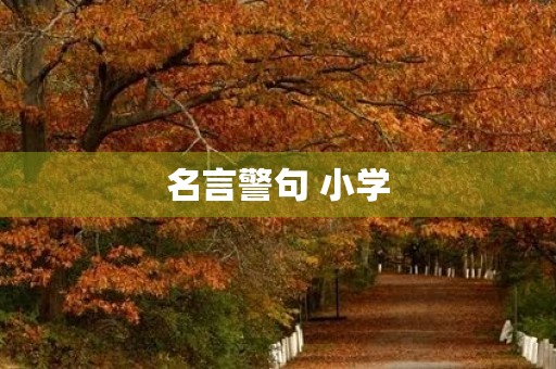 名言警句 小学(名言警句小学生三年级)