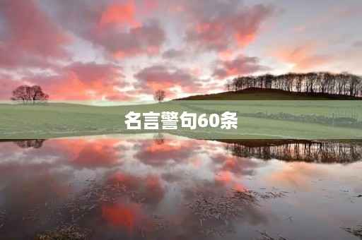 名言警句60条(名言警句60条短的)